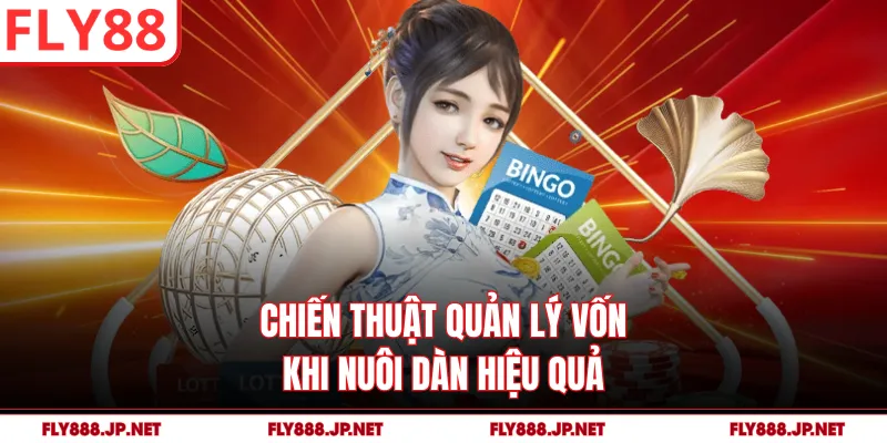 Chiến thuật quản lý vốn khi nuôi dàn hiệu quả