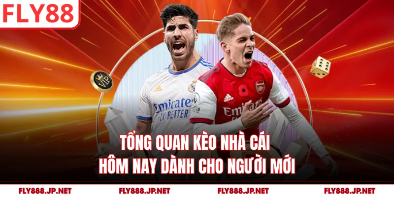 Tổng quan kèo nhà cái hôm nay dành cho người mới