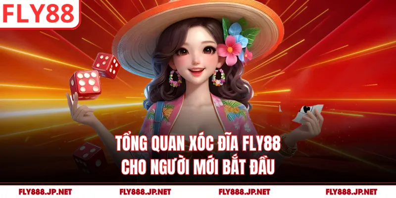 Tổng quan xóc đĩa FLY88 cho người mới bắt đầu
